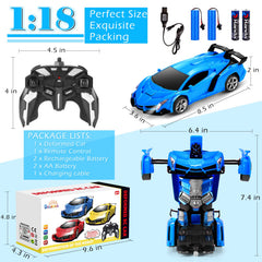 Dolanus 2.4GHz anti-jamming remote enables multi-car racing without interference.