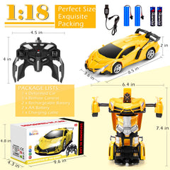 Dolanus RC car for two-player play without cross-talk.