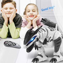 Dollox RC dinosaur remote control play guides walking and sliding
