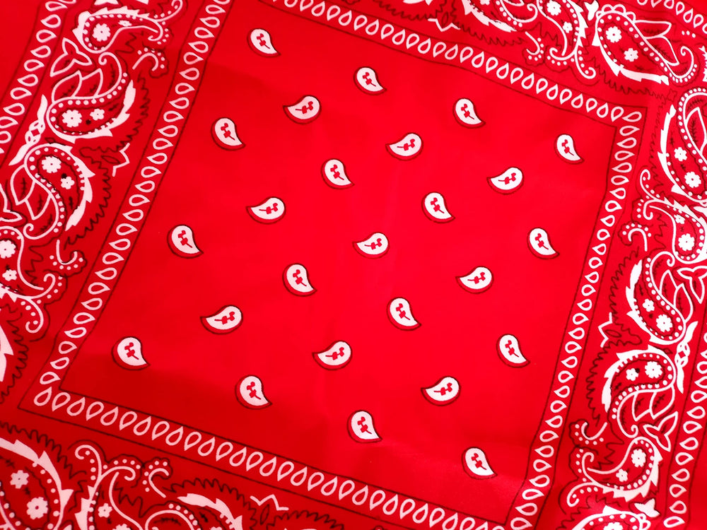 Dondor packaging image shows wrapped and sealed whistle set.