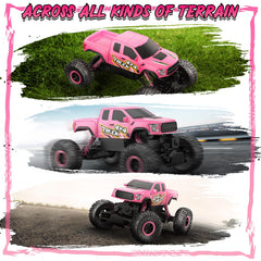 DOUBLE E Raptor F150 RC car pink shell close-up for kids' appeal.