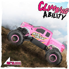 DOUBLE E Raptor F150 RC car rear view highlights durable bumper for bumps.