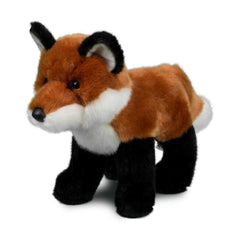 Douglas Bushy Red Fox snout detail highlighting delicate features