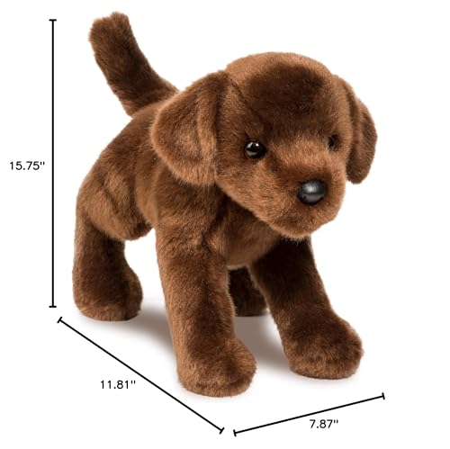 Douglas C.C. Bean Chocolate Lab plush safe for ages 24 months and up.
