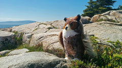 Douglas Einstein Great Horned Owl plush full view highlights size and cuddly comfort for kids.