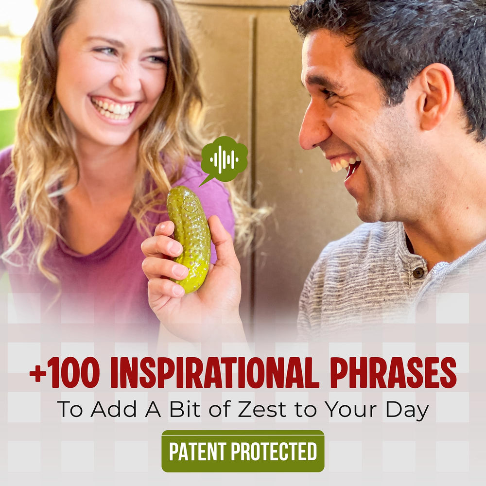 DR DINGUS emotional support pickle phrase list highlights over 100 prompts