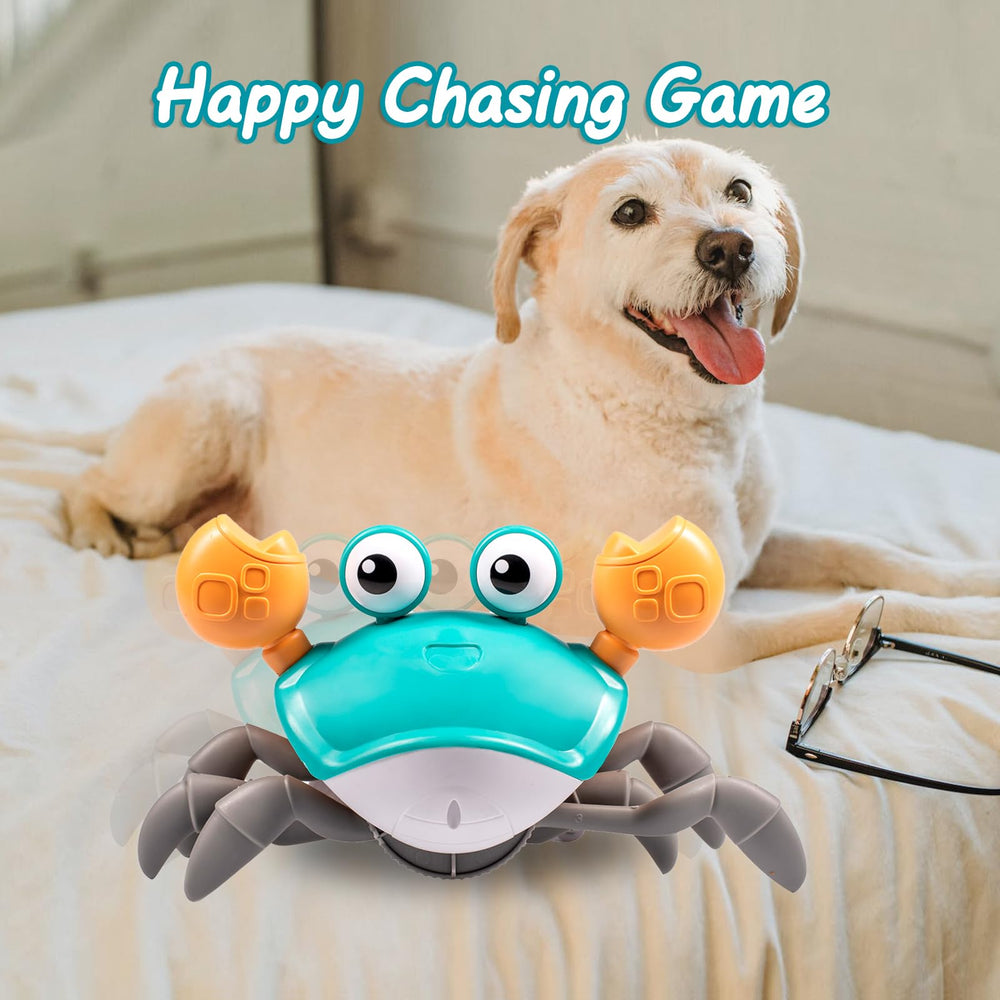 Dusja crab toy with glow lights enhances visibility during evening training.