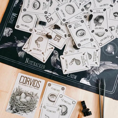 DVC Games Corvids steal play heightening player interaction