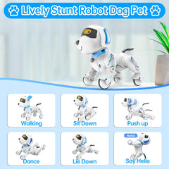 Dwi Dowellin robot dog lights and sounds enhance immersive learning moments.