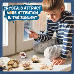 EDUMAN display stands organize and showcase crystals