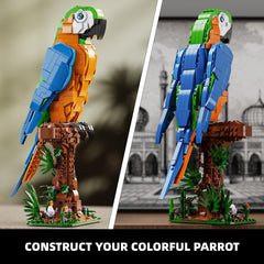 EITOLNR Macaw parrot close-up shows colorful feathers and detail