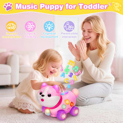 Ellinjan puppy made from BPA-free ABS keeps daily play safe.