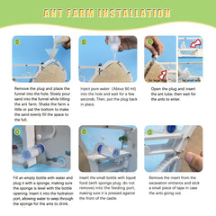ELNMLHT ant farm egg-laying area shows colony organization