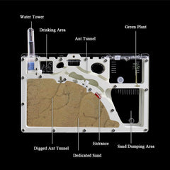 ELNMLHT Ant Farm toolkit image shows practical care and feeding tools.