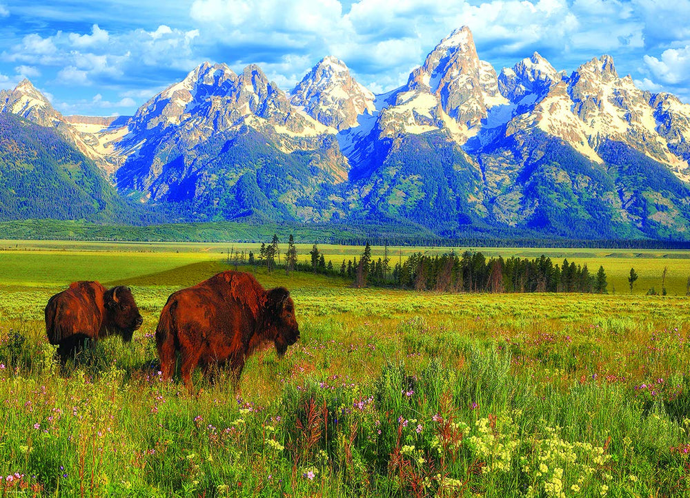EuroGraphics Grand Teton puzzle assembly reveals vibrant peaks and valleys for focused play.