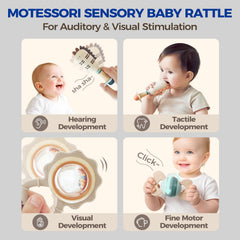 Evoceler Tyrannosaurus rattle teether supports steady chewing urges