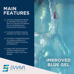 Evviva Ant Habitat dimensions 6.5 x 5.5 inches for compact study