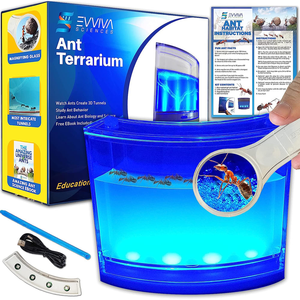 Evviva Ant Habitat LED base illuminates setup for night observation