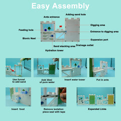 EXBEPE educational gift-ready kit with tools for observing ants