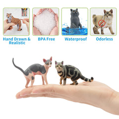EYSCOTA British Shorthair cat figurine captures lifelike texture for display.