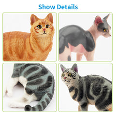 EYSCOTA Canadian Hairless cat figurine showcases unique features for learning.