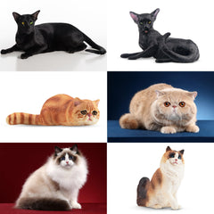 EYSCOTA cat figurines can be cake toppers and party favors.
