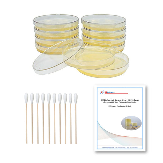 EZ BioResearch bacteria kit prepoured LB-agar plates ready for classroom experiments