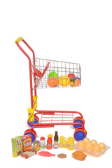 Fash N Kolor mini cart with doll seat floral design for toddlers