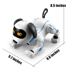 Fisca dog doing push-ups action for interactive fitness-inspired play
