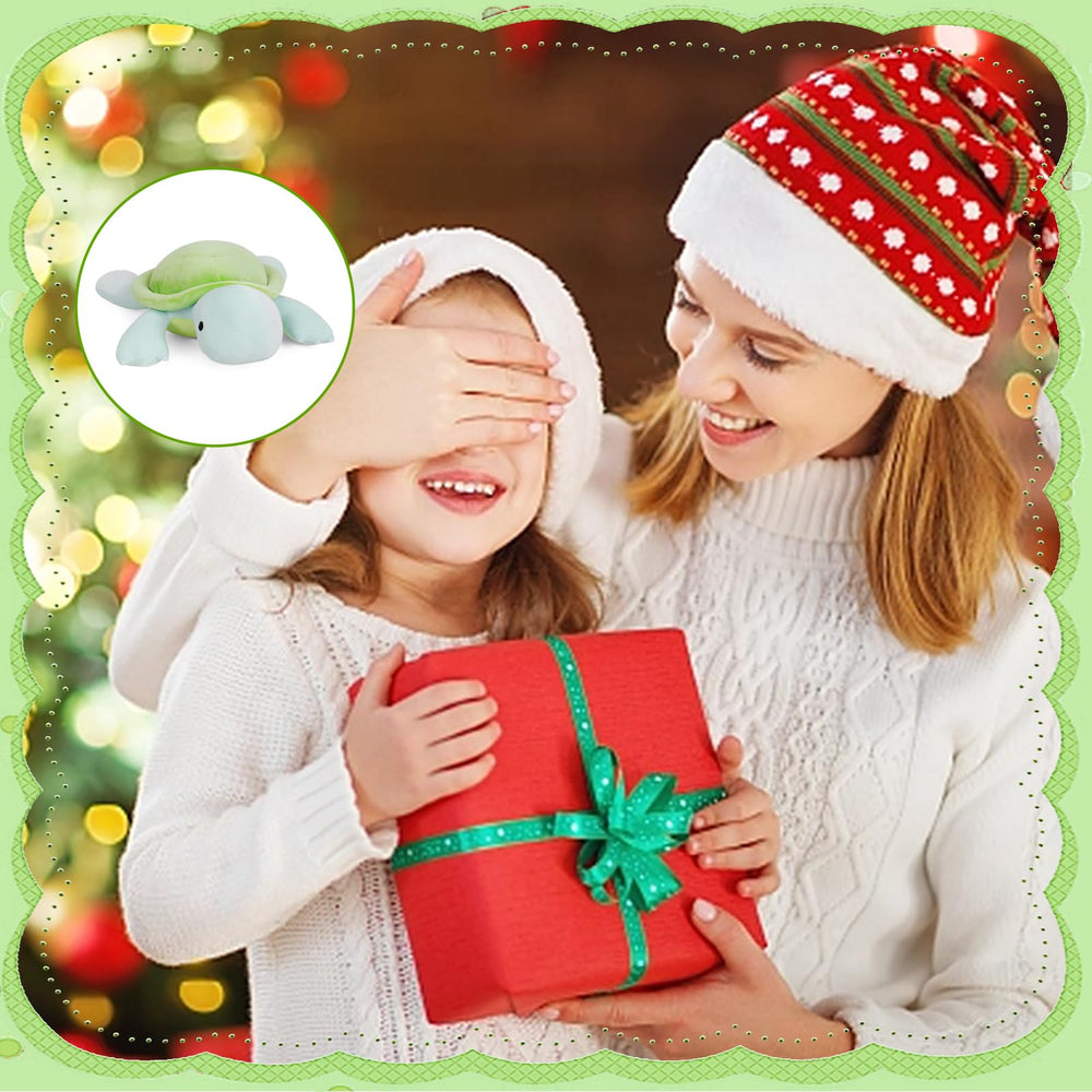Florviv weighted turtle gift-ready image hints at a thoughtful present for kids.