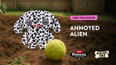 Fuggler collect-them-all plush family invites playful display and conversation starters.