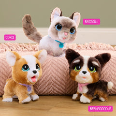 furReal Poop-A-Lots Corgi toys for kids' imaginative family fun.
