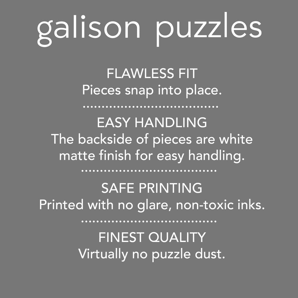 Galison Beside The Sea puzzle storage box keeps pieces safe and portable.