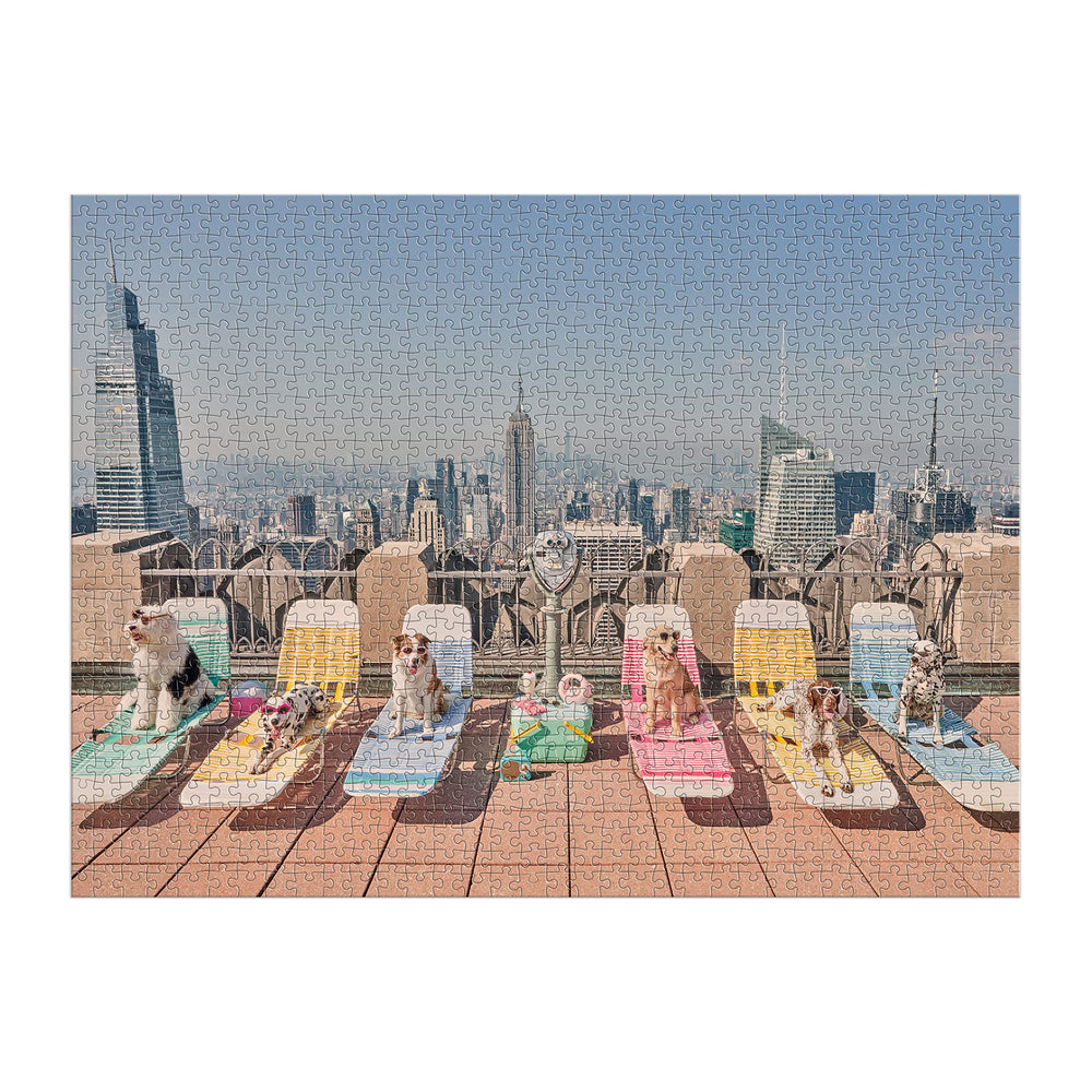Galison Gray Malin Dogs of New York City puzzle insert, reference image for guidance.