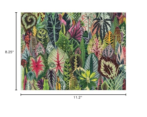 Galison Houseplant Jungle puzzle box art view shows finished scene and keeps pieces safe.