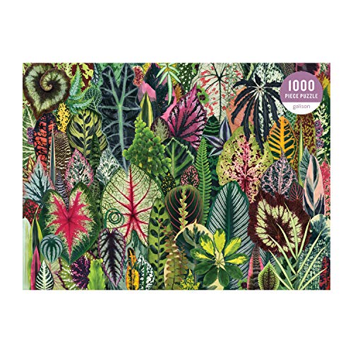 Galison Houseplant Jungle puzzle showcases succulent variety for engaging, colorful puzzle sessions.