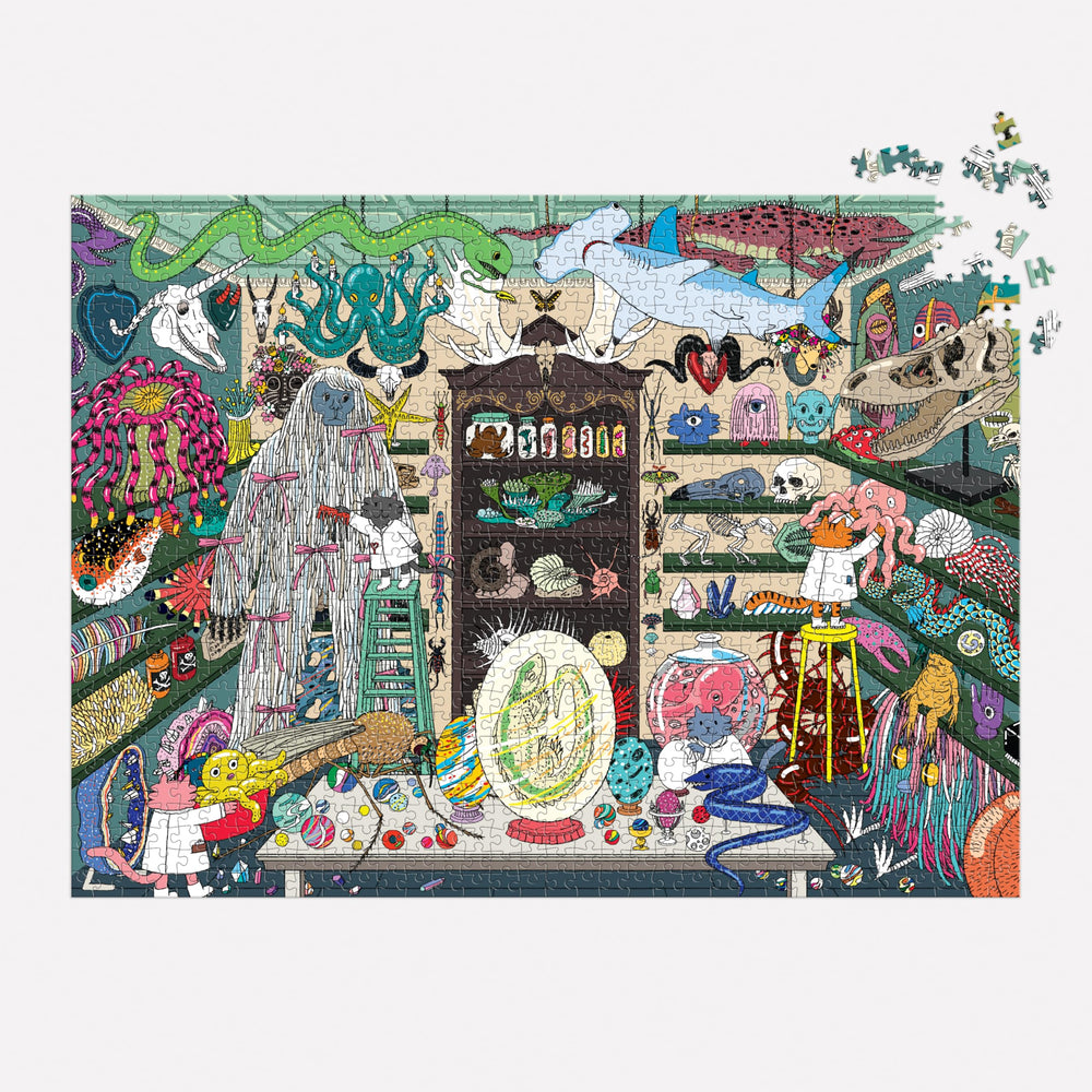 Galison World of Curiosities insert image helps reference during assembly.