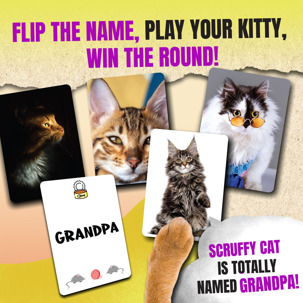Name That Kitty deck shown during a playful family activity.
