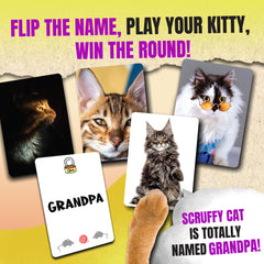 Name That Kitty deck shown during a playful family activity.