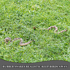 Gelabur educational snakes for safe, engaging demonstrations and pranks.