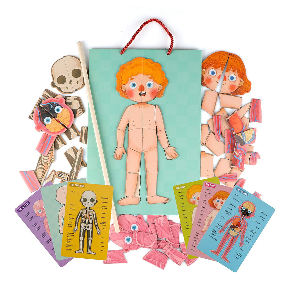 Gemileo human body puzzle girl: engaging hands-on anatomy learning.
