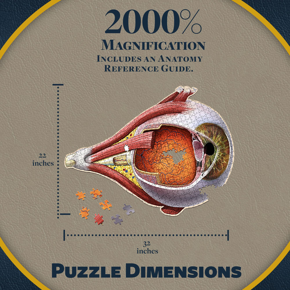 Genius Games Dr Livingston iris puzzle highlights eye color and pupil function for visual learning.