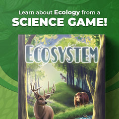 Genius Games Ecosystem animal cards featuring bears, foxes and rabbits for strategic play
