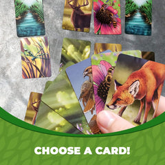 Genius Games Ecosystem card drafting action illustrating strategic habitat choices
