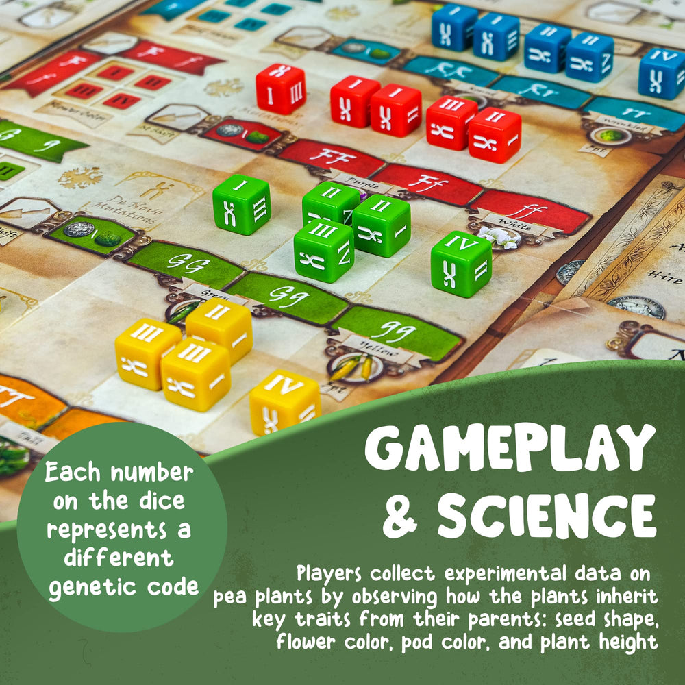 Genius Games Genotype offers a satisfying solo mode for independent play.