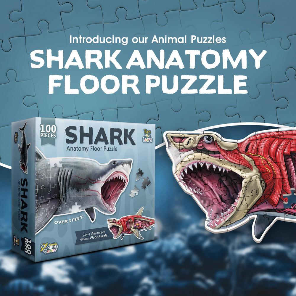 Genius Games shark anatomy floor puzzle illustration reinforces anatomical curiosity and spatial skills