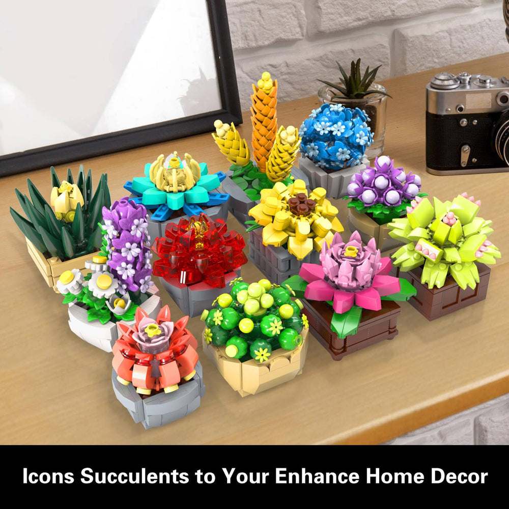 GEVINST succulents close-up blocks highlight realistic texture and modular design