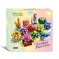 GEVINST succulents tabletop centerpiece creates a focal point on coffee tables
