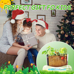 Geynaw Root Viewer Kit guide book provides simple steps for growing fun.