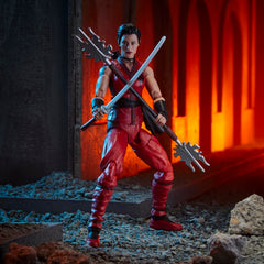 Kim Jinx Arashikage alternate masked head, variety in display moods.